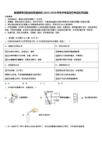 新疆维吾尔自治区塔城地区2025-2026学年中考适应性考试化学试题（含答案解析）