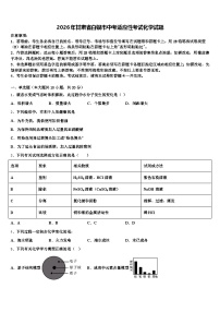2026年甘肃省白银市中考适应性考试化学试题（含答案解析）