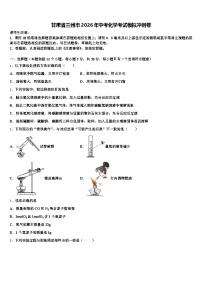 甘肃省兰州市2026年中考化学考试模拟冲刺卷（含答案解析）
