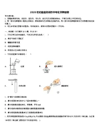 2026年河南省郑州市中考化学押题卷（含答案解析）