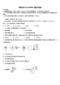 攀枝花市2026年中考一模化学试题（含答案解析）