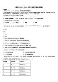 潍坊市2025-2026学年中考化学模拟预测题（含答案解析）