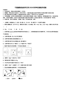 宁夏回族自治区中卫市2026年中考五模化学试题（含答案解析）