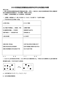 2026年青海省玉树藏族自治州初中化学毕业考试模拟冲刺卷（含答案解析）