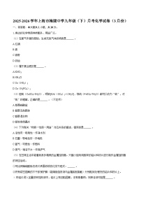 2025-2026学年上海市梅陇中学九年级（下）月考化学试卷（3月份）-自定义类型