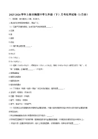 2025-2026学年上海市梅陇中学九年级（下）月考化学试卷（3月份）-自定义类型