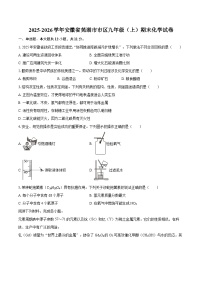 2025-2026学年安徽省芜湖市市区九年级（上）期末化学试卷-自定义类型