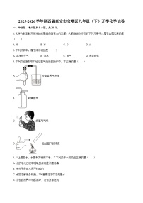 2025-2026学年陕西省延安市宝塔区九年级（下）开学化学试卷-自定义类型