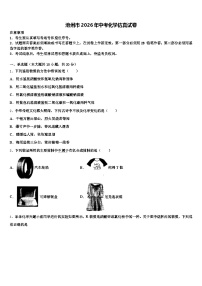池州市2026年中考化学仿真试卷（含答案解析）