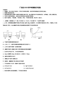 广东省2026年中考四模化学试题（含答案解析）