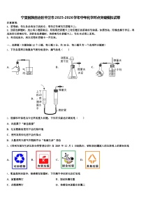 宁夏回族自治区中卫市2025-2026学年中考化学对点突破模拟试卷（含答案解析）