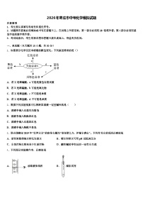 2026年枣庄市中考化学模拟试题（含答案解析）