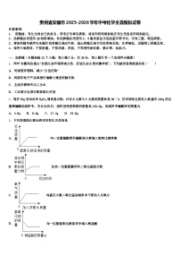 贵州省安顺市2025-2026学年中考化学全真模拟试卷（含答案解析）