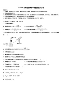 2026年甘肃省酒泉市中考猜题化学试卷（含答案解析）