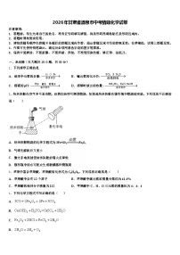 2026年甘肃省酒泉市中考猜题化学试卷（含答案解析）