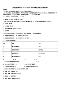 安徽省马鞍山市2025-2026学年中考化学最后一模试卷（含答案解析）