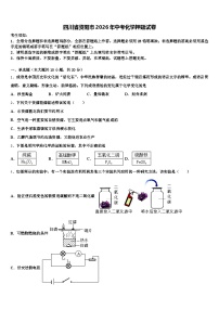 四川省资阳市2026年中考化学押题试卷（含答案解析）
