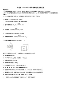 湖北省2025-2026学年中考化学五模试卷（含答案解析）