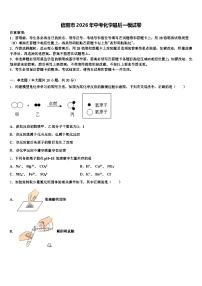 信阳市2026年中考化学最后一模试卷（含答案解析）