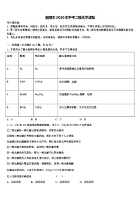 南阳市2026年中考二模化学试题（含答案解析）