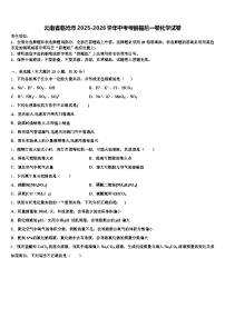 云南省临沧市2025-2026学年中考考前最后一卷化学试卷（含答案解析）