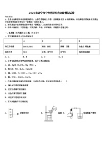 2026年遂宁市中考化学对点突破模拟试卷（含答案解析）