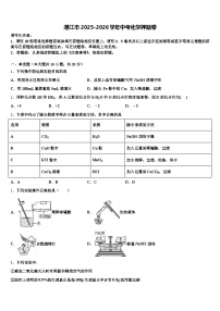 湛江市2025-2026学年中考化学押题卷（含答案解析）