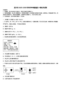 嘉兴市2025-2026学年中考考前最后一卷化学试卷（含答案解析）