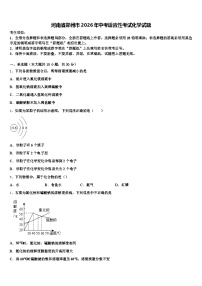 河南省郑州市2026年中考适应性考试化学试题（含答案解析）