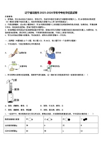 辽宁省沈阳市2025-2026学年中考化学仿真试卷（含答案解析）