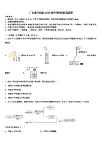 广东省中山市2026年中考化学仿真试卷（含答案解析）