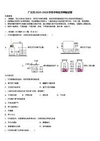 广元市2025-2026学年中考化学押题试卷（含答案解析）