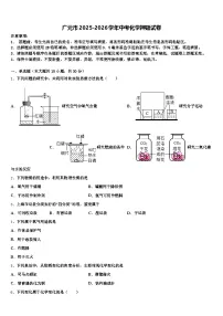 广元市2025-2026学年中考化学押题试卷（含答案解析）