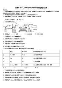 温州市2025-2026学年中考化学适应性模拟试题（含答案解析）