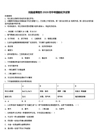 河南省濮阳市2026年中考猜题化学试卷（含答案解析）