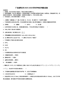 广东省肇庆市2025-2026学年中考化学模拟试题（含答案解析）