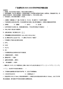 广东省肇庆市2025-2026学年中考化学模拟试题（含答案解析）