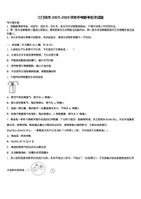 三门峡市2025-2026学年中考联考化学试题（含答案解析）