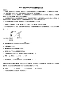 2026年临沂市中考试题猜想化学试卷（含答案解析）