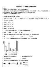 吉林市2026年中考化学模拟预测题（含答案解析）