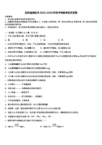 吉林省通化市2025-2026学年中考联考化学试卷（含答案解析）