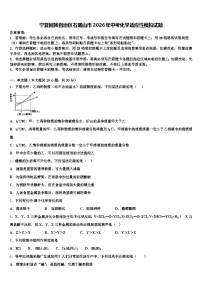 宁夏回族自治区石嘴山市2026年中考化学适应性模拟试题（含答案解析）