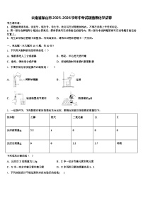 云南省保山市2025-2026学年中考试题猜想化学试卷（含答案解析）