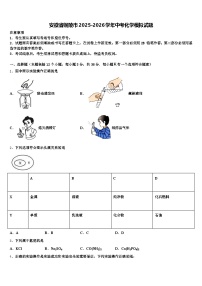 安徽省铜陵市2025-2026学年中考化学模拟试题（含答案解析）