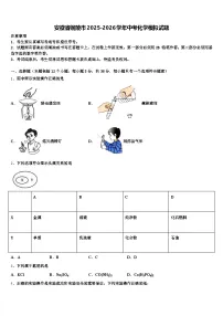 安徽省铜陵市2025-2026学年中考化学模拟试题（含答案解析）