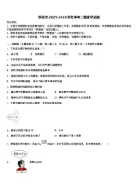 怀化市2025-2026学年中考二模化学试题（含答案解析）
