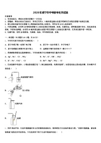 2026年咸宁市中考联考化学试题（含答案解析）