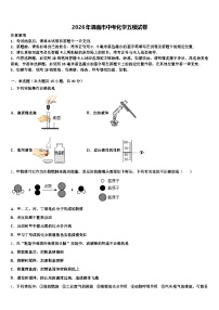 2026年渭南市中考化学五模试卷（含答案解析）