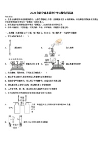 2026年辽宁省本溪市中考三模化学试题（含答案解析）