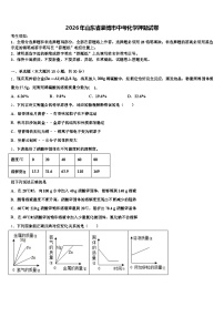 2026年山东省淄博市中考化学押题试卷（含答案解析）